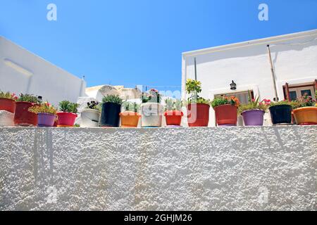 A line of small potted plants sitting on a white wall in the traditional village of Megalochori in Santorini, Greece. Stock Photo