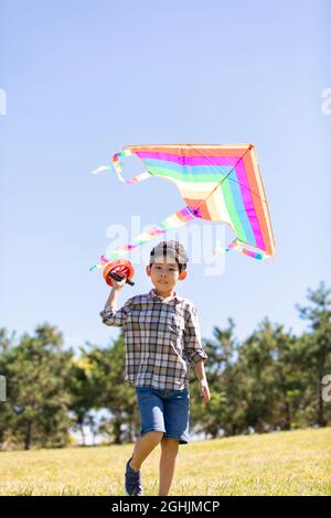 Happy boy playing with kite on meadow Stock Photo
