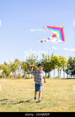Happy boy running with kite on meadow Stock Photo