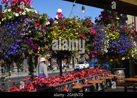 Flower baskets in full bloom hang in an outdoor restaurant patio along Wharf Street in downtown Victoira, British Columbia, Canada on Vancouver Island Stock Photo
