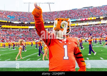 Charlotte, NC, USA. 4th Sep, 2021. Clemson Tigers mascot The Tiger performs with the Marching Band before the 2021 Duke's Mayo Classic at Bank of America Stadium in Charlotte, NC. (Scott Kinser/Cal Sport Media). Credit: csm/Alamy Live News Stock Photo