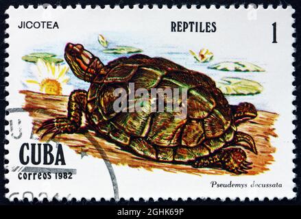 CUBA - CIRCA 1982: a stamp printed in Cuba shows Cuban slider, pseudemys decussata, is a species of turtle, circa 1982 Stock Photo