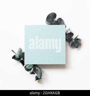 Blank green card paper with eucalyptus leaf on white background. top view, copy space Stock Photo