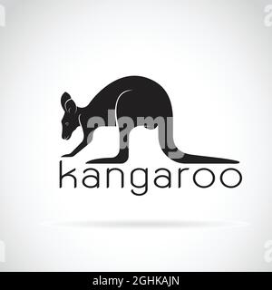 Vector of a kangaroo on white background. Wild Animals. Stock Vector