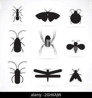Vector of insects group on white background. Insect. Animal. Insects Icon. Stock Vector