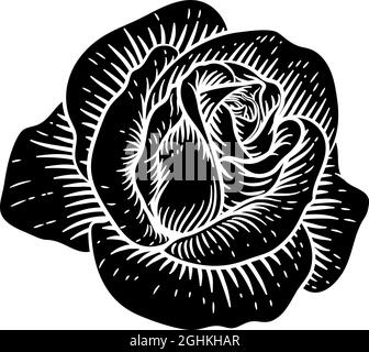 Rose Flower Vintage Woodcut Drawing Stock Vector