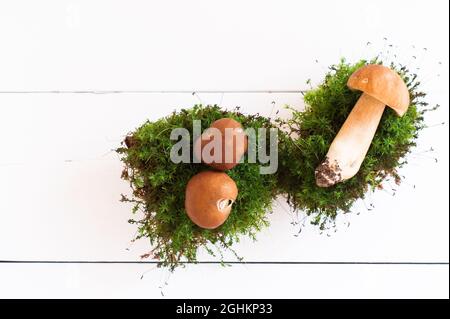 three white mushrooms in moss against the background of a white wooden table. top view Stock Photo