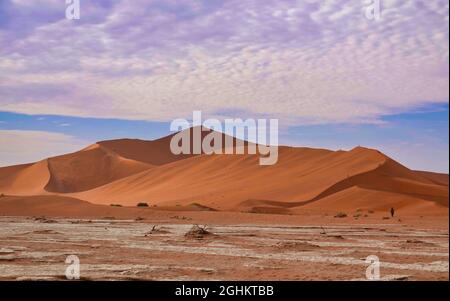 The red desert, dead trees, and tourists hiking in the sand dunes. Sossusvlei is a salt and clay pan surrounded by high red dunes, Namib-Naukluft Nati Stock Photo