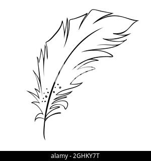 Feather of birds. Black and white feather silhouette for logo vector set Stock Vector