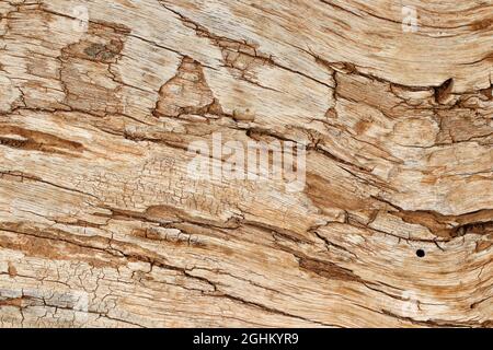 Wood texture background (selective focus) Stock Photo