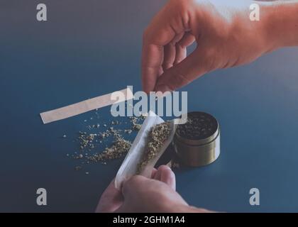 Close up man hands rolling a joint with herb girder to grind a cannabis buds on a blue background.Man rolling a marijuana weed blunt. Stock Photo
