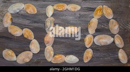 Word Sea made from seashells on an old vintage wooden grey background. Summer mood. Vacation, sea rest, summer concept. Banner. Stock Photo