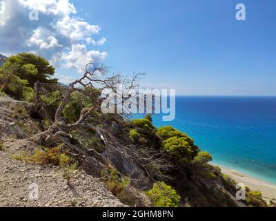 Trees on cliffs on sunny sea shore on a bright clear blue day in Greece. Gialos pebble beach with turquoise water and clear blue sky, Lefkada island, Stock Photo