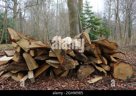 Split logs stacked in a forest Stock Photo