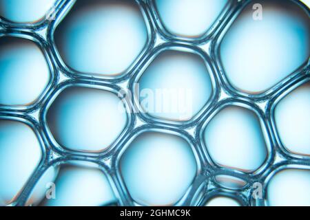 Abstract background and texture of blue bubbles Stock Photo