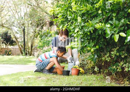 Happy asian father and son smiling, wearing gloves and planting plants together in garden Stock Photo