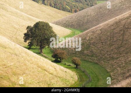 Horse Dale near Huggate, in the Yorkshire Wolds, UK Stock Photo