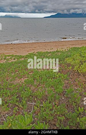 Views of beachfront/coastline at Cardwell, Queensland view to Hinchinbrook Island taken as a storm front approached which dropped over 100mm. Stock Photo