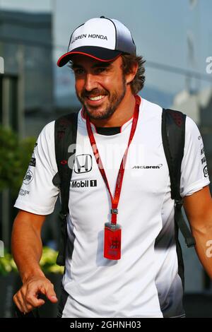 Fernando Alonso (ESP) McLaren.  23.07.2016. Formula 1 World Championship, Rd 11, Hungarian Grand Prix, Budapest, Hungary, Qualifying Day.  Photo credit should read: XPB/Press Association Images. Stock Photo