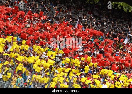 Fans in the grandstand.  31.07.2016. Formula 1 World Championship, Rd 12, German Grand Prix, Hockenheim, Germany, Race Day.  Photo credit should read: XPB/Press Association Images. Stock Photo