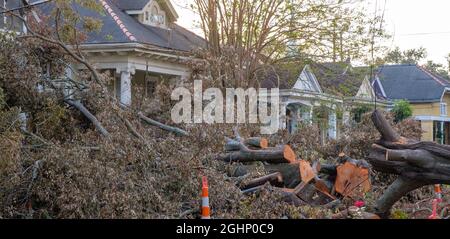NEW ORLEANS, LA, USA - SEPTEMBER 6, 2021: Houses and fallen tree from Hurricane Ida on Plum Street in Uptown Neighborhood Stock Photo