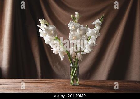 Delicate bouquet of white gladioli in a glass vase stands on a wooden table and a brown rag background Stock Photo