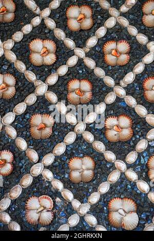 Grotto Hall, wall detail with seashells and snail seashells, Neues Palais, Sanssouci Palace, Potsdam, Brandenburg, Germany Stock Photo