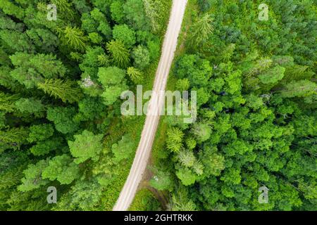 Aerial full frame view from drone of idyllic country road leading through gallant pine and birch forests in dark green colors in cloudy rainy weather  Stock Photo