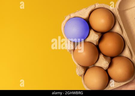 Easter brown chicken eggs in eco basket and one egg on yellow background. Fresh egg on morning breakfast, flat lay, copy space. Stock Photo