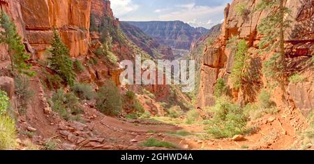 Bright Angel Canyon view from North Kaibab Trail, Kaibab National Forest, Grand Canyon, Arizona, USA Stock Photo