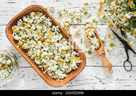 Top view dried daisy flower jar with long oblique shadow on white  background at early morning, simple decor for home Stock Photo - Alamy
