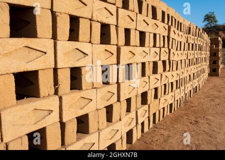 Hand made bricks from wet clay and mud are kept for drying before the burning process. Traditional production of clay bricks in India. Stock Photo