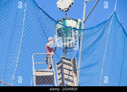 worker, workman, pouring concrete on building site. Stock Photo