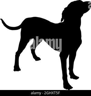 Black-white dog muzzle Dalmatian. Seamless pattern with cute cartoon ...