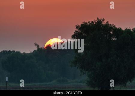 Peaceful sunrise in a remote wildlife refuge with the sun just peeking over the trees on the horizon in the warm light of golden hour. Stock Photo