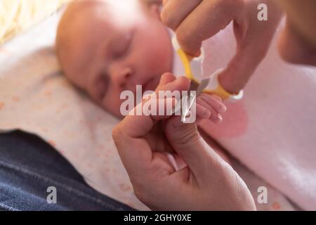 Mother Cutting Babys Nails Stock Photo - Download Image Now - Fingernail,  Cutting, Baby - Human Age - iStock