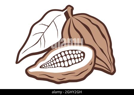Vector vintage logo with cocoa on isolated background. Vector icon of cocoa bean. Stock Vector