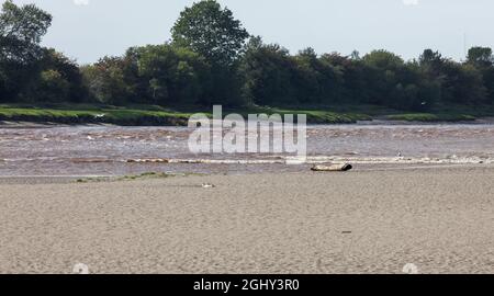 The Solway Bore approaching Rockcliffe village Stock Photo