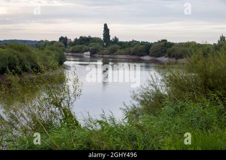 The Trent Aegir downstream from Gainsborough Stock Photo