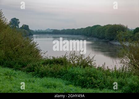 The Trent Aegir downstream from Gainsborough Stock Photo