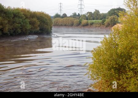 The Trent Aegir downstream from Gainsborough Stock Photo