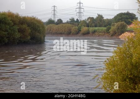 The Trent Aegir downstream from Gainsborough Stock Photo