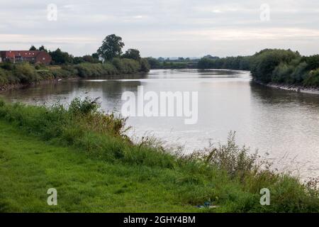 The Trent Aegir downstream from Gainsborough Stock Photo