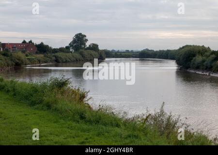 The Trent Aegir downstream from Gainsborough Stock Photo