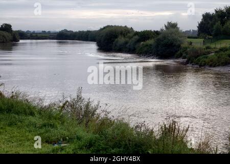 The Trent Aegir downstream from Gainsborough Stock Photo