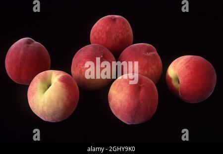 STUDIO IMAGE OF MARAVILLA PEACHES (WHITE FLESH) ON A BLACK BACKGROUND. Stock Photo