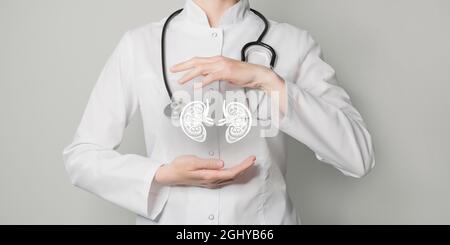kidney issues medical concept. Photo of female doctor, empty space. Stock Photo