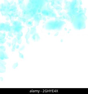 Turquoise flower petals falling down. Amazing romantic flowers falling rain. Flying petal on white square background. Love, romance concept. Beautiful Stock Vector