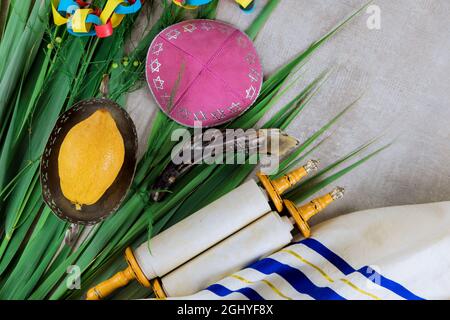 Jewish festival traditional symbols of Sukkot the four species in Etrog, lulav, hadas, arava Stock Photo