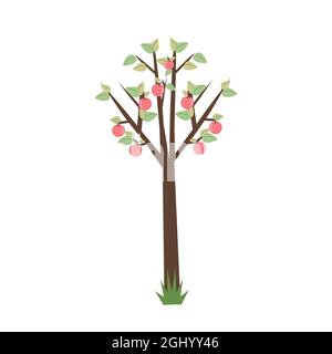 Apple tree with apples, vector object in flat style Stock Vector